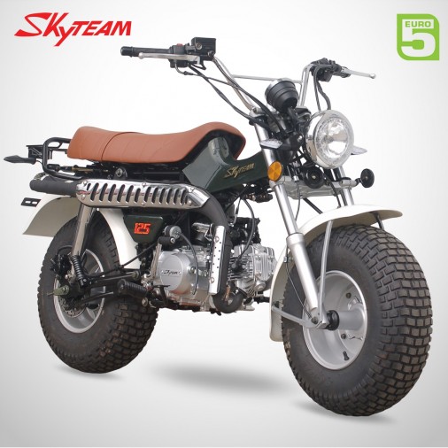 Moto T-REX 125 - SKYTEAM - Vert